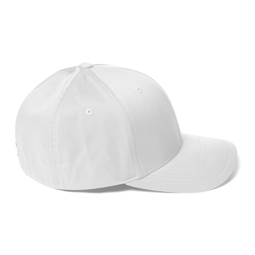 Flex Fit Cap